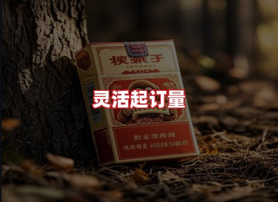 专业团队